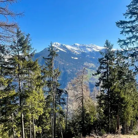 Chalet Casa Fortuna - Sunny 5 Bedroom Panorama House - Chur Lenzerheide Malix