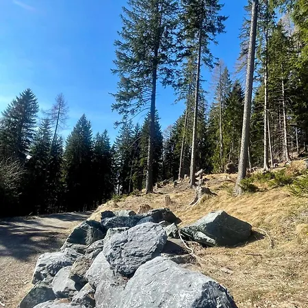 Chalet Casa Fortuna - Sunny 5 Bedroom Panorama House - Chur Lenzerheide
