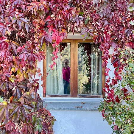 Chalet Casa Fortuna - Sunny 5 Bedroom Panorama House - Chur Lenzerheide Malix